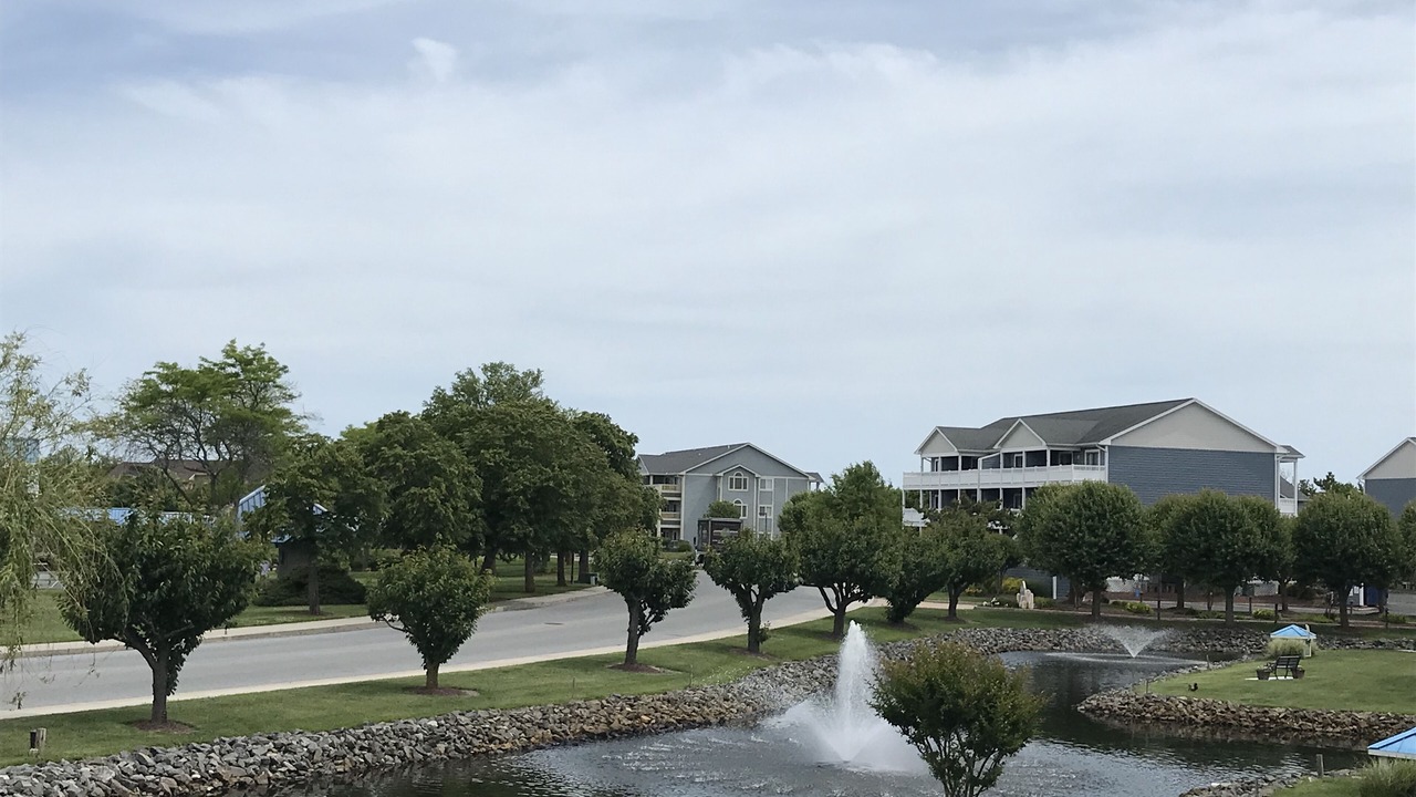 Photo of Outdoor in Heron Harbour Isle