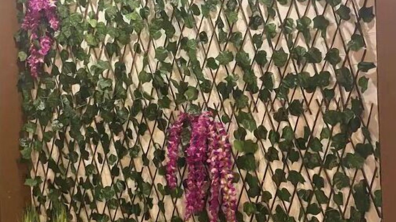 Photo of Others in Gregorio Luperon