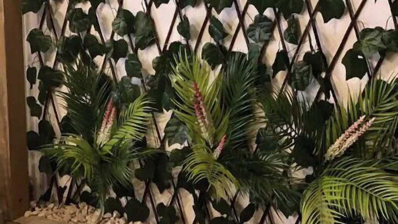 Photo of Outdoor in Gregorio Luperon