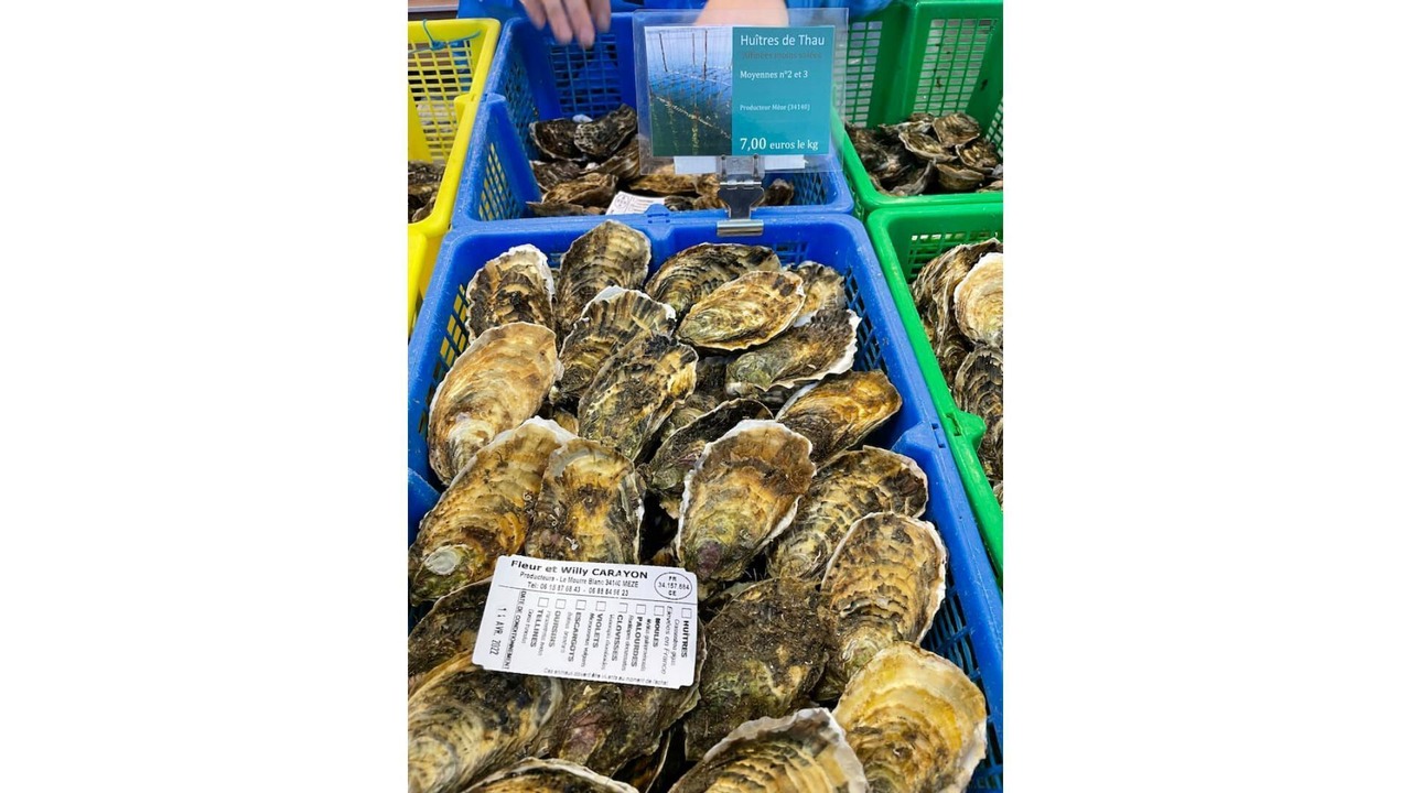 Photo of Others in Maraussan