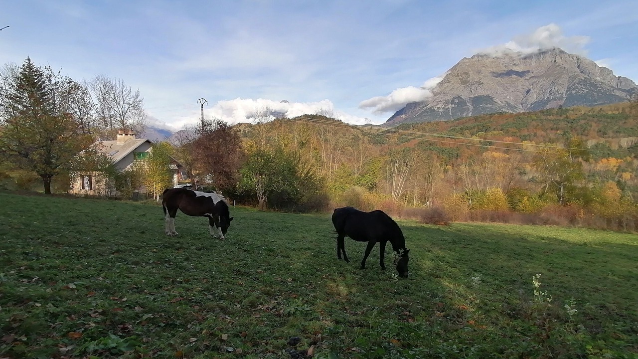 Photo of Others in Aubessagne