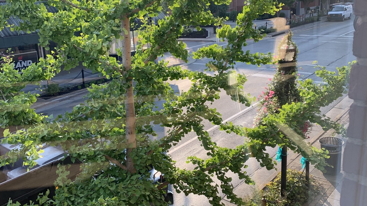 Photo of Others in London