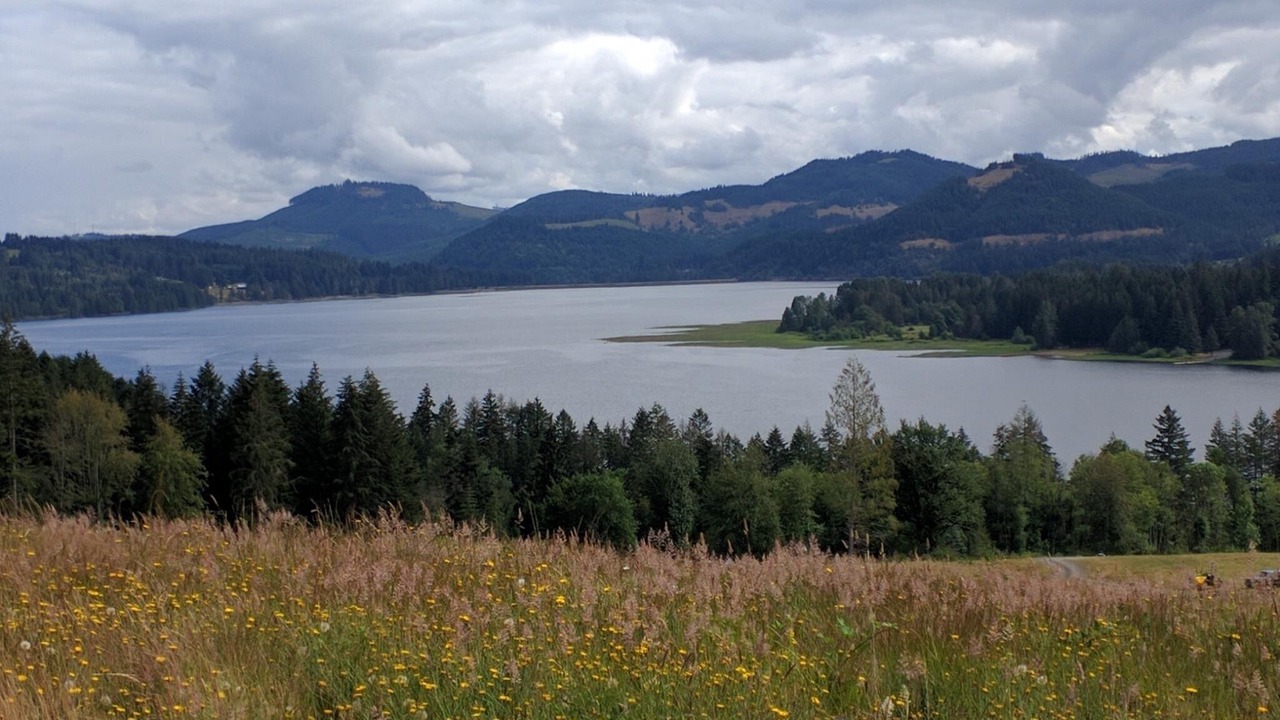 Photo of Others in Cottage Grove