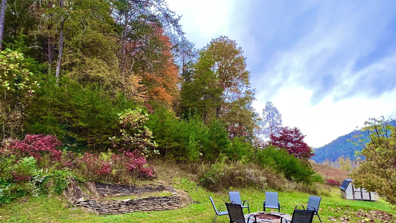 Photo of Outdoor in Rogersville