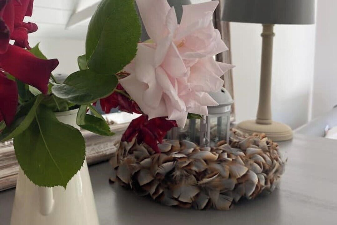 Photo of Others in Cranbrook