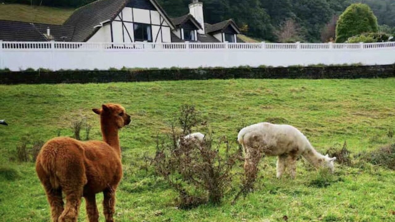 Photo of Outdoor in Rotorua