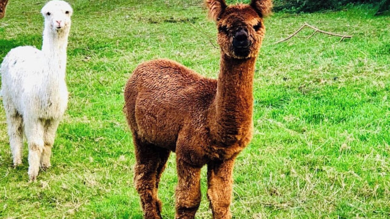 Photo of Outdoor in Rotorua