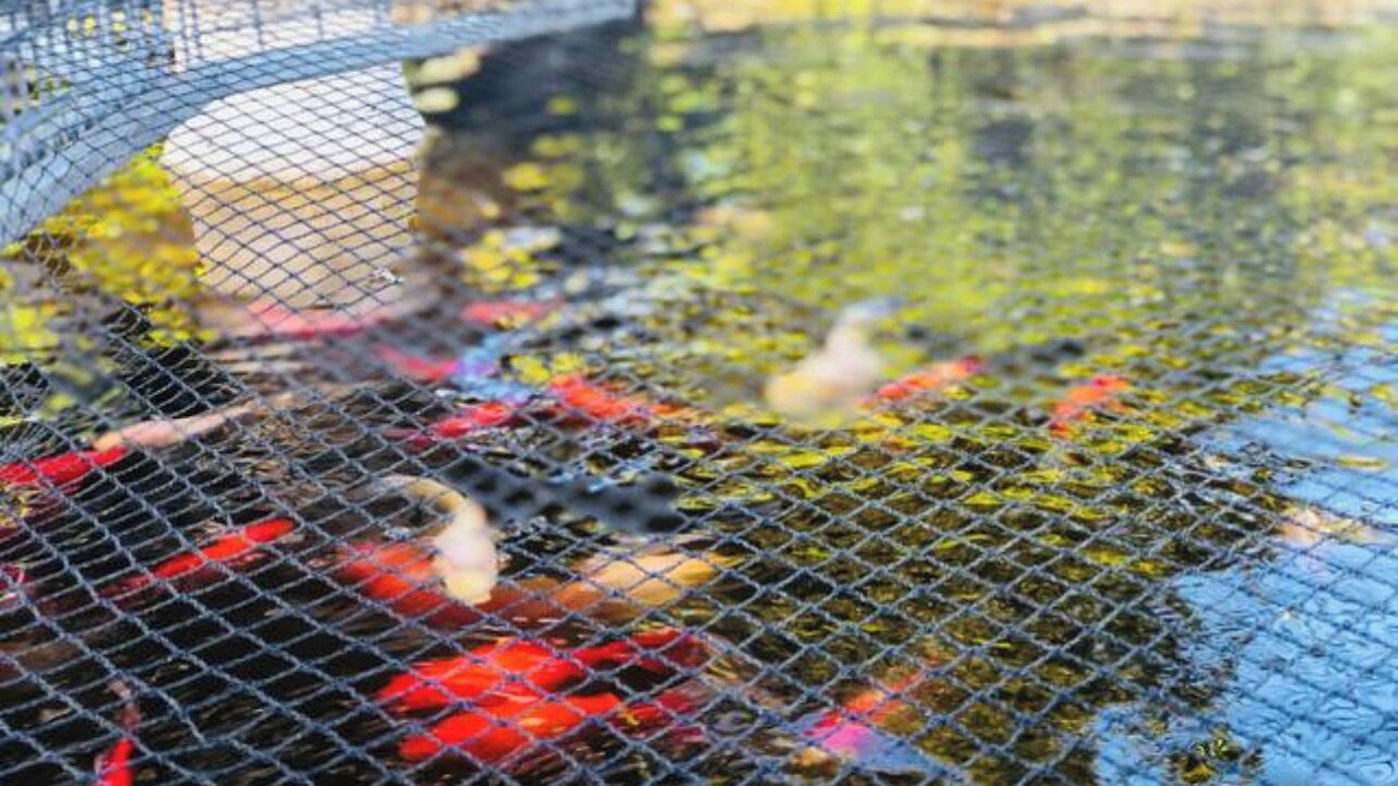 Photo of Outdoor in Rotorua