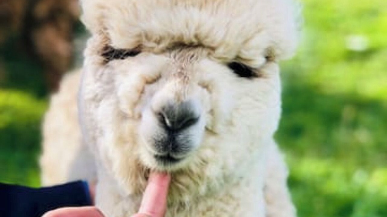 Photo of Outdoor in Rotorua