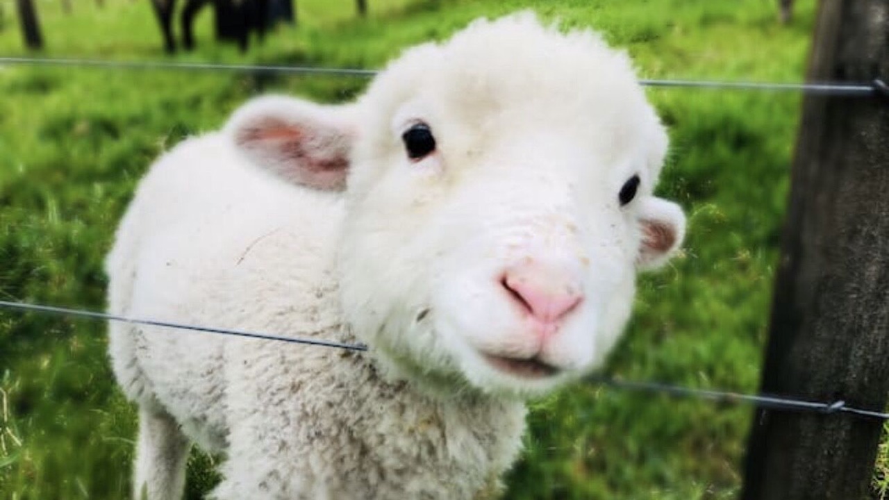 Photo of Outdoor in Rotorua