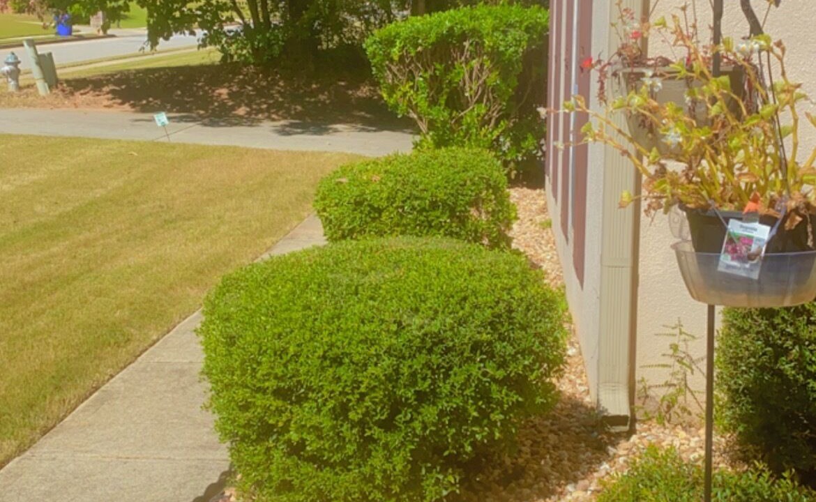 Photo of Outdoor in Covington