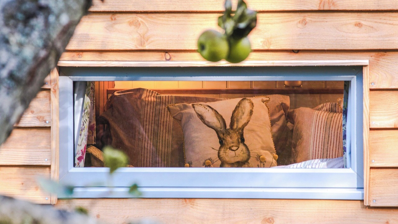 Photo of Outdoor in Devizes