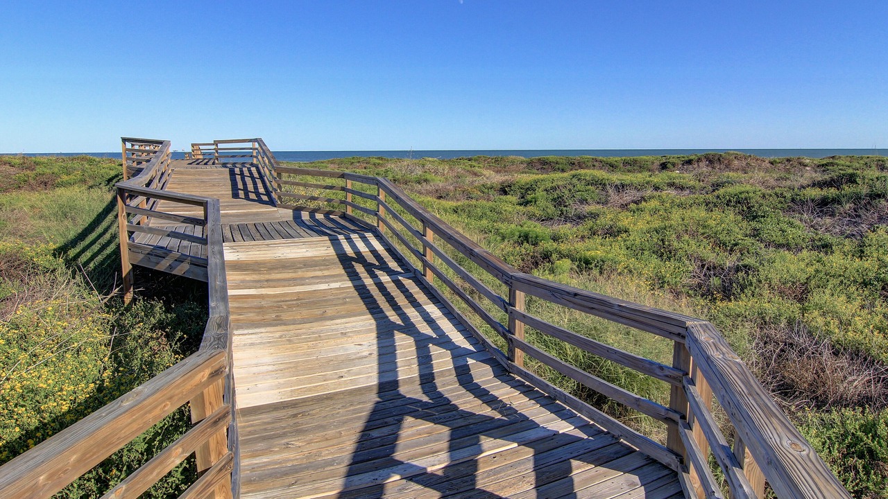 Photo of Others in Port Aransas