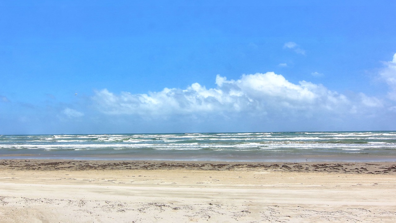 Photo of Others in Port Aransas