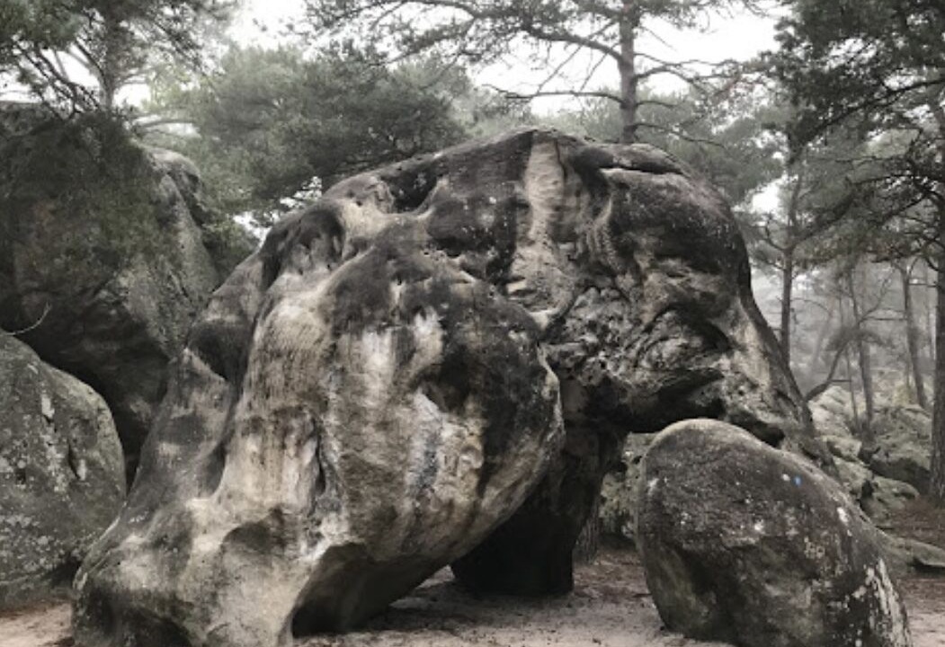 Photo of Outdoor in Sceaux-du-Gatinais