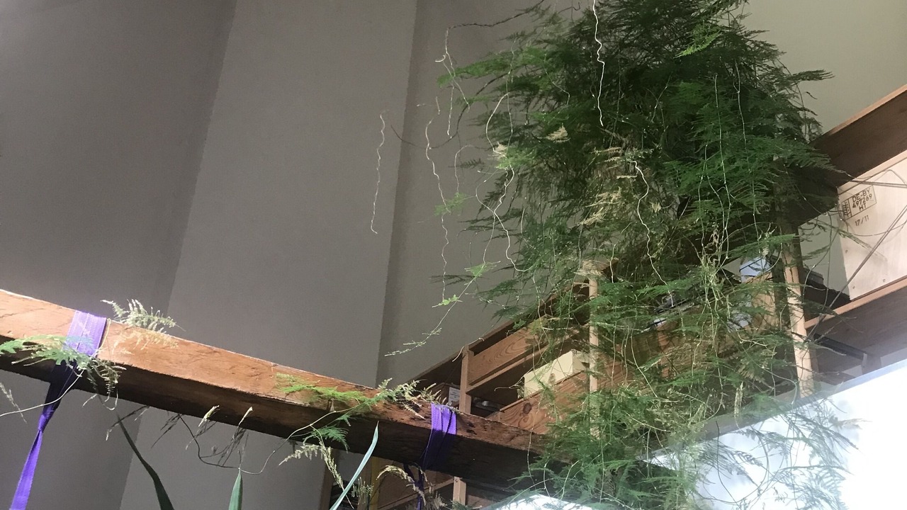 Photo of Others in Sceaux-du-Gatinais