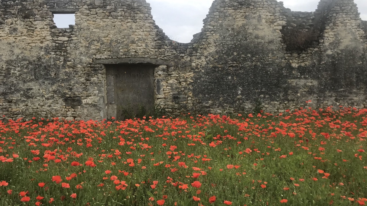 Photo of Others in Sceaux-du-Gatinais
