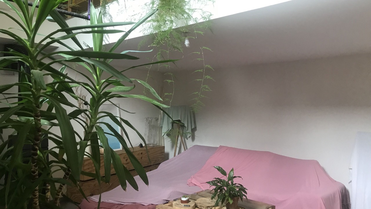 Photo of Others in Sceaux-du-Gatinais