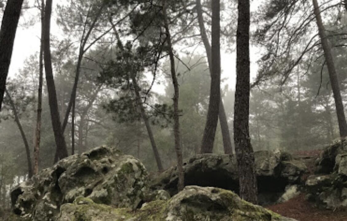 Photo of Others in Sceaux-du-Gatinais