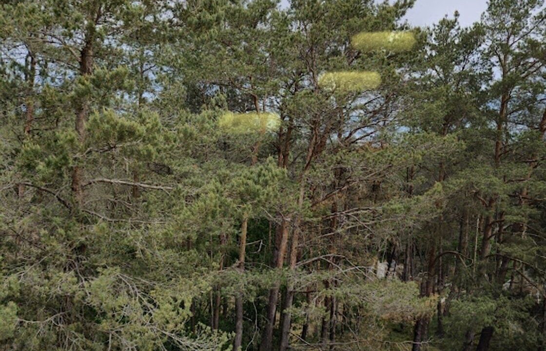 Photo of Others in Sceaux-du-Gatinais