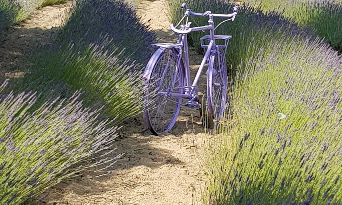 Photo of Outdoor in Cereste