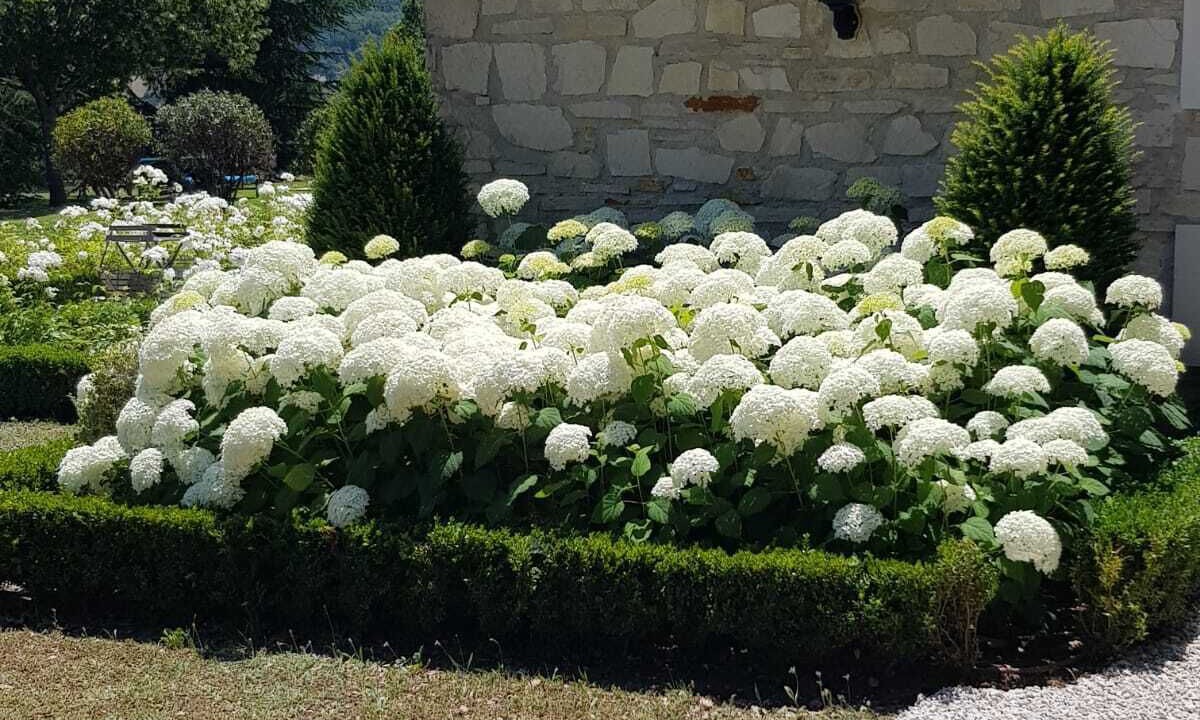 Photo of Outdoor in Cereste