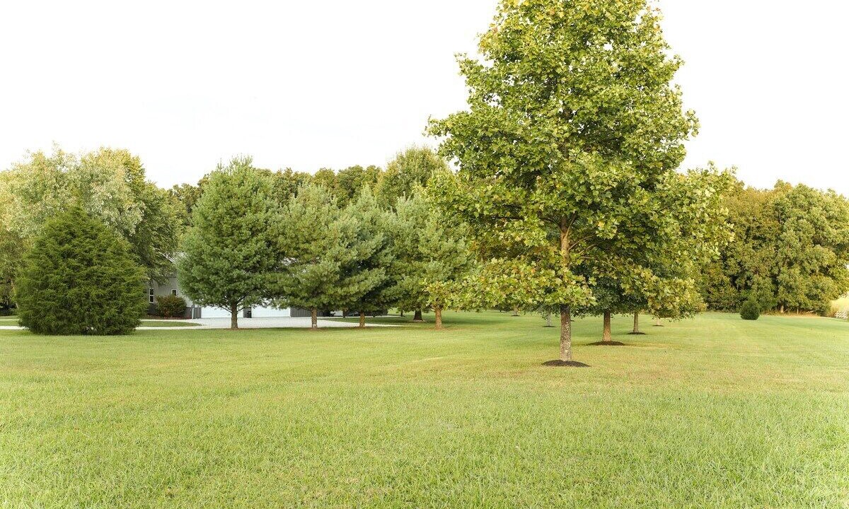 Photo of Outdoor in Pierceville