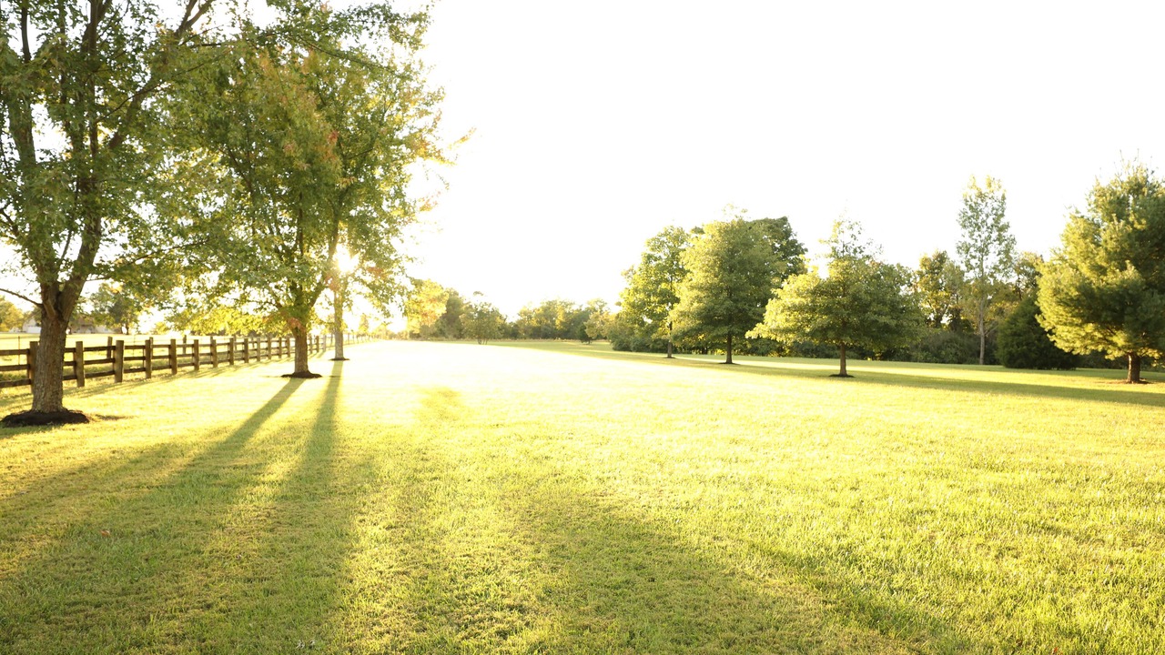 Photo of Outdoor in Pierceville