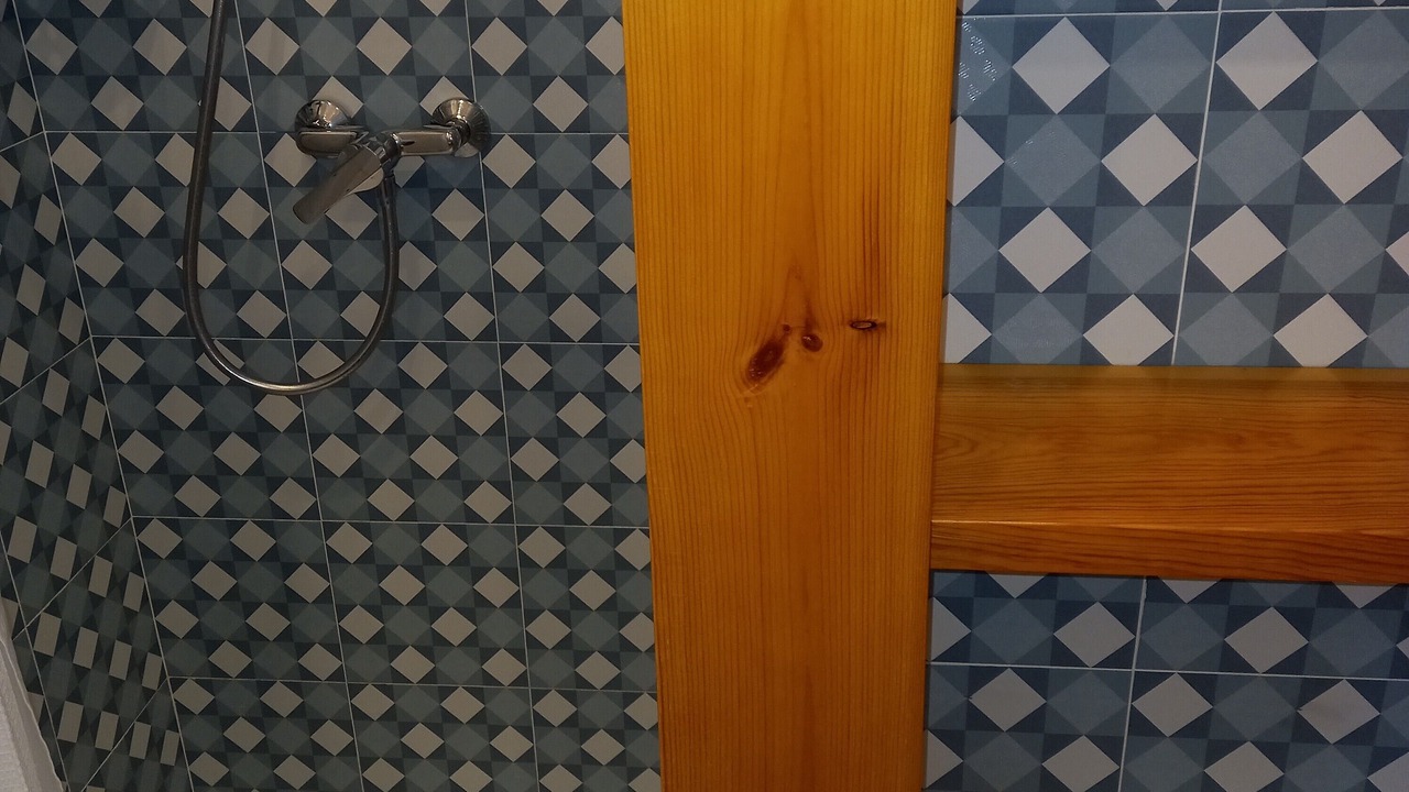 Photo of Bathroom in Montellano