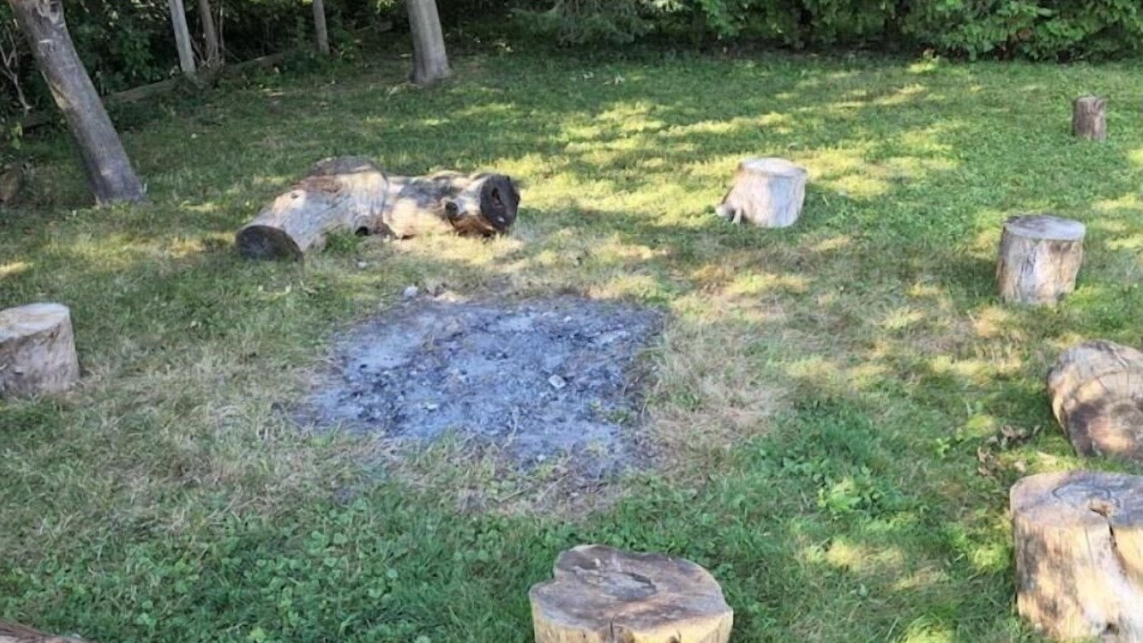 Photo of Outdoor in Alcona