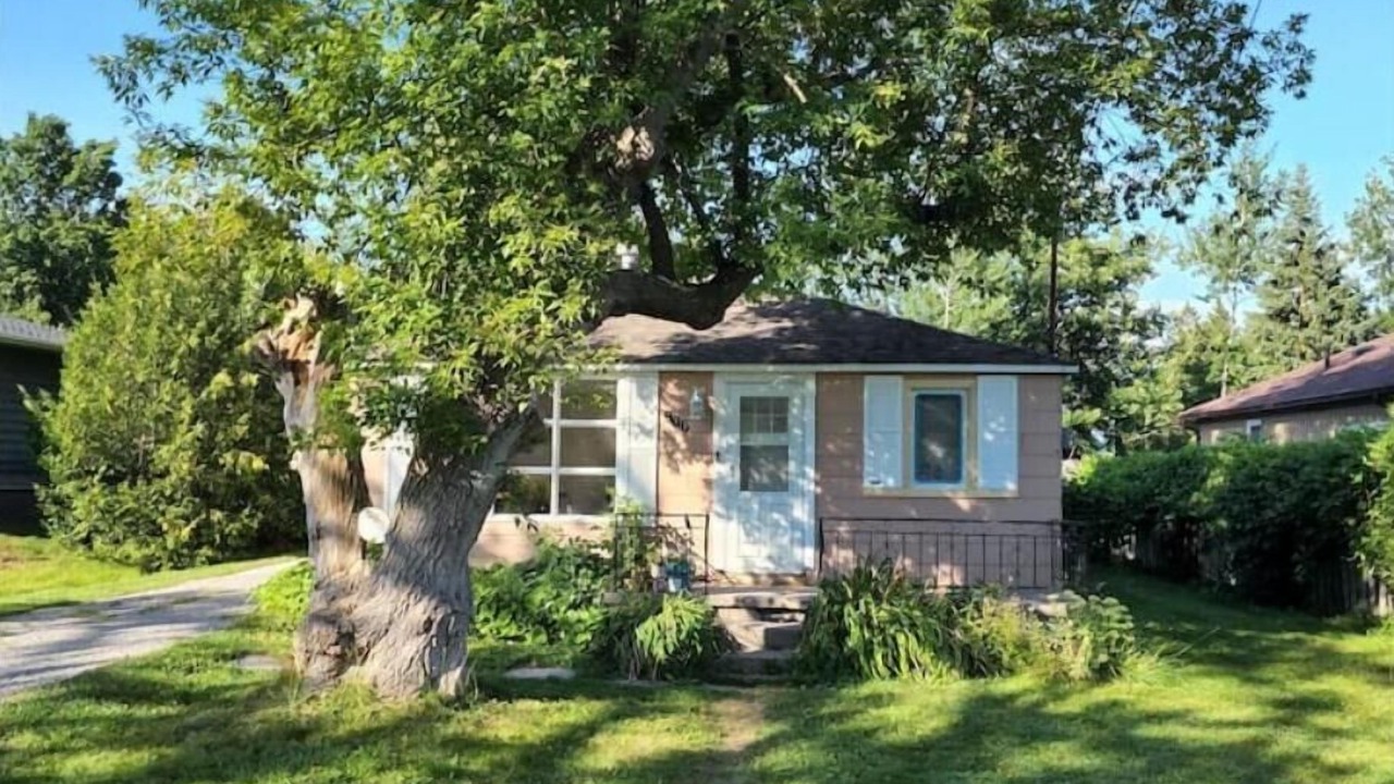 Photo of Outdoor in Alcona