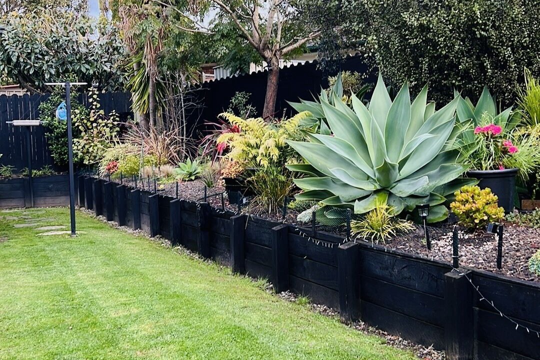 Photo of Outdoor in Auckland