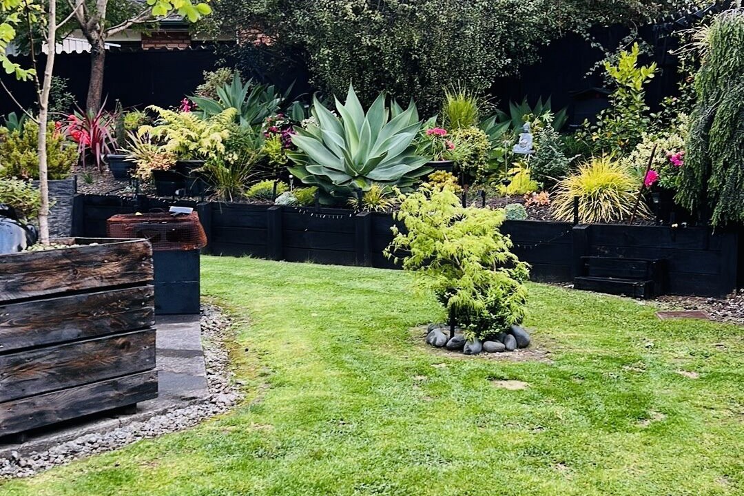 Photo of Outdoor in Auckland