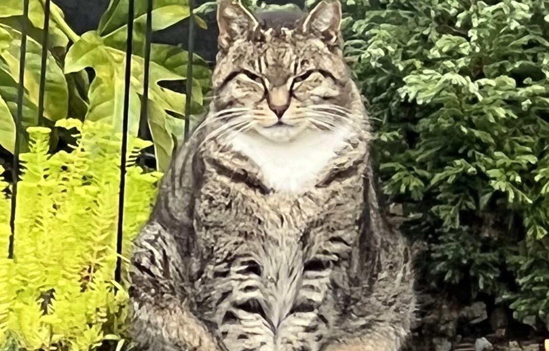 Photo of Others in Auckland