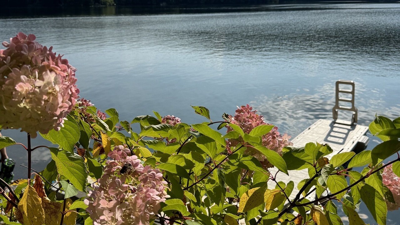 Photo of Outdoor in Maryland