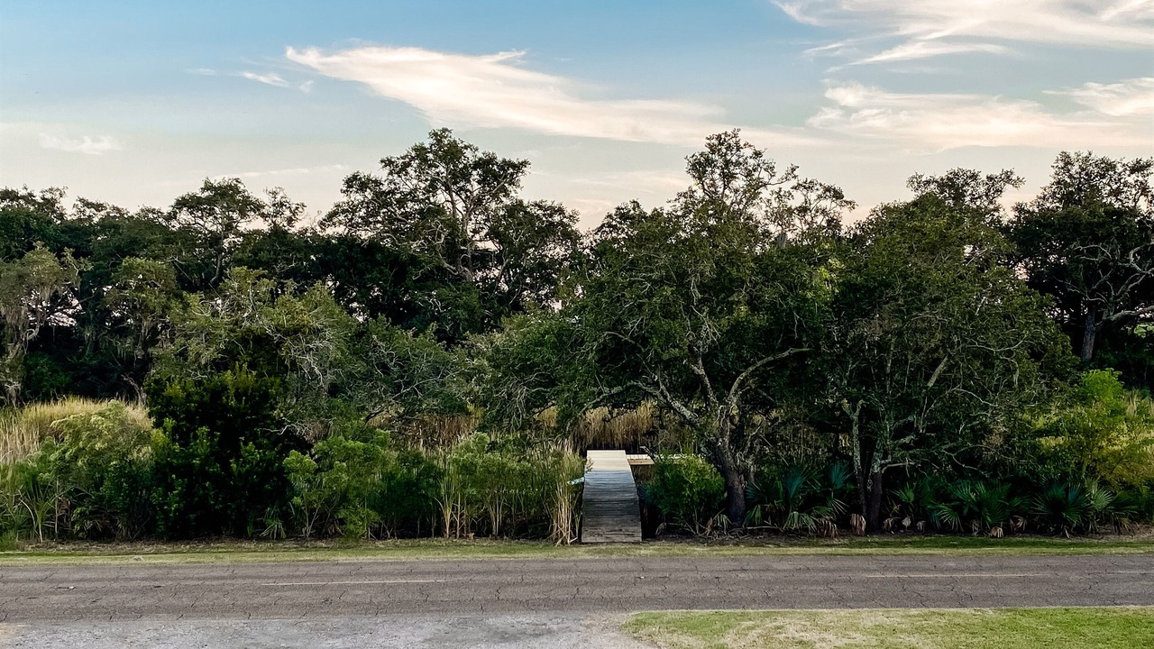 Photo of Outdoor in Cypremort Point