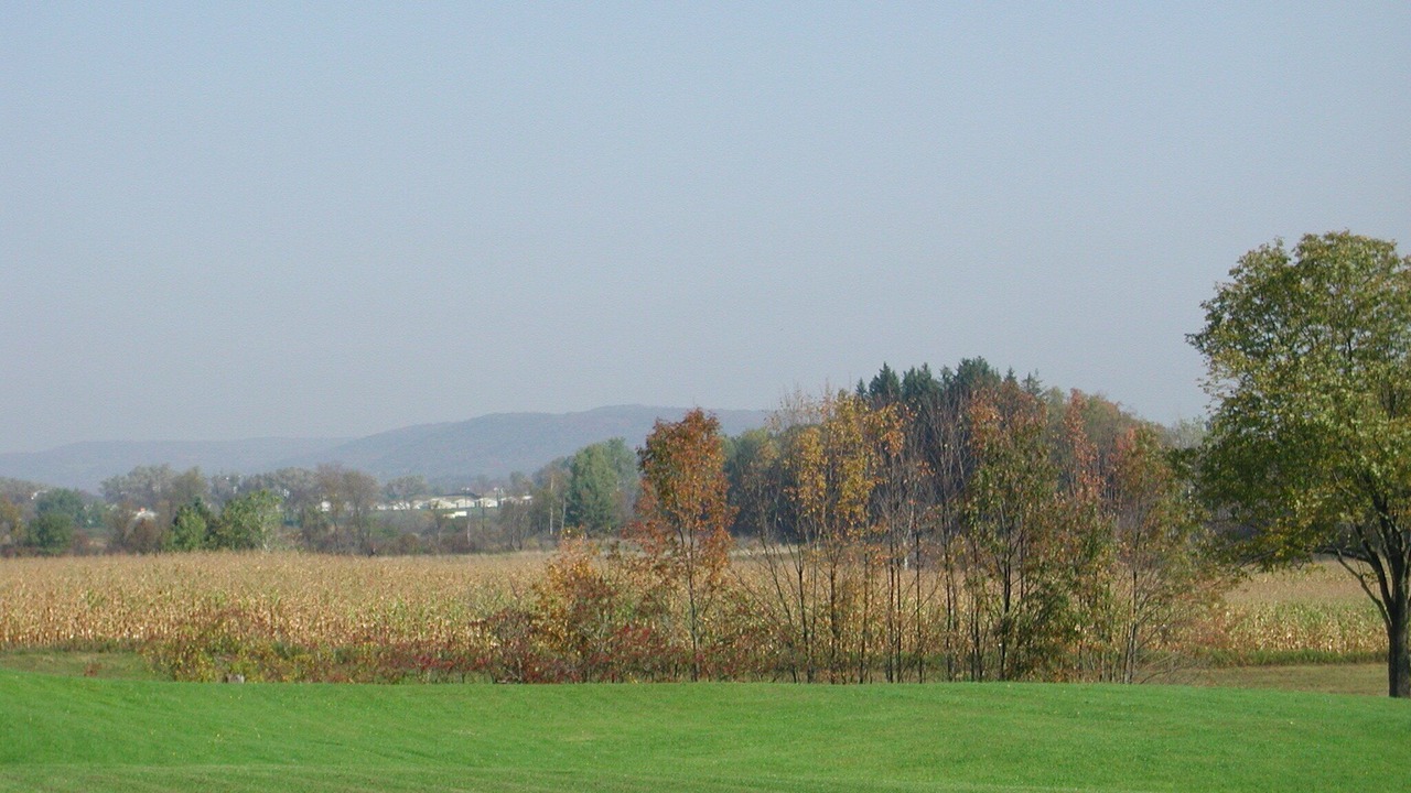 Photo of Others in Milford