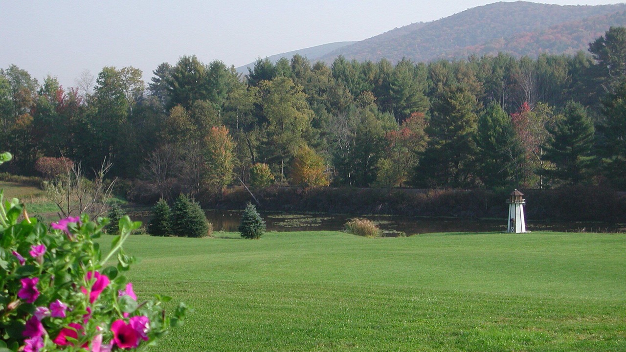 Photo of Others in Milford