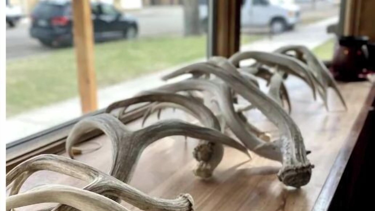 Photo of Others in Fort Benton