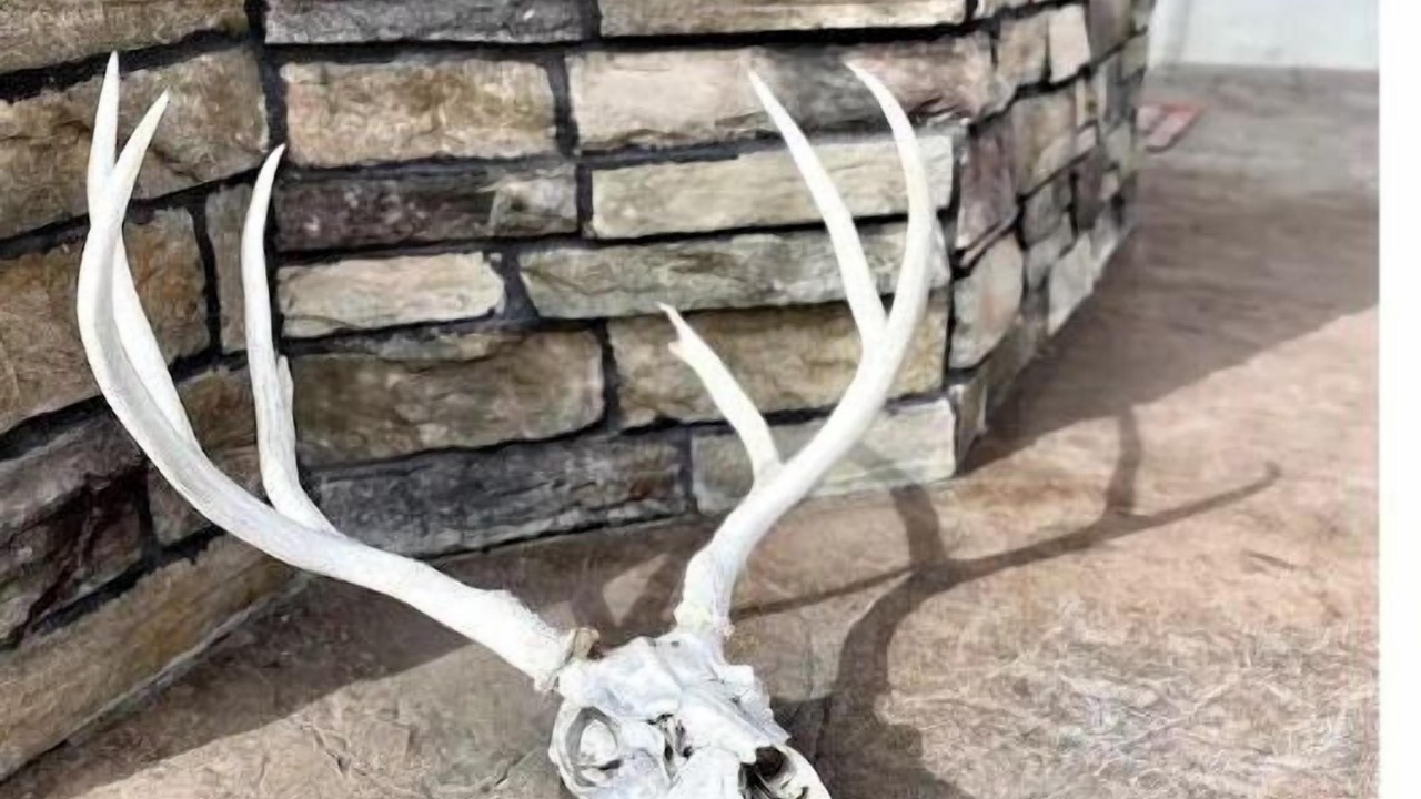 Photo of Others in Fort Benton