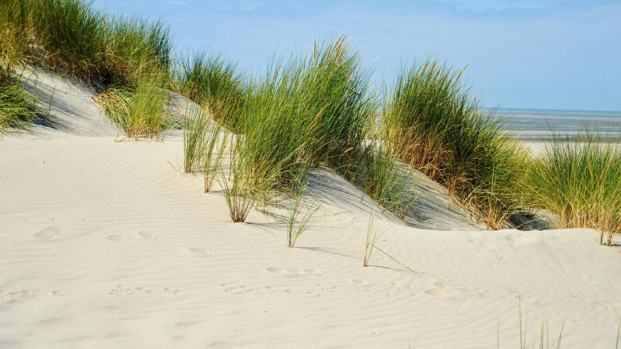 Photo of Others in Longvilliers