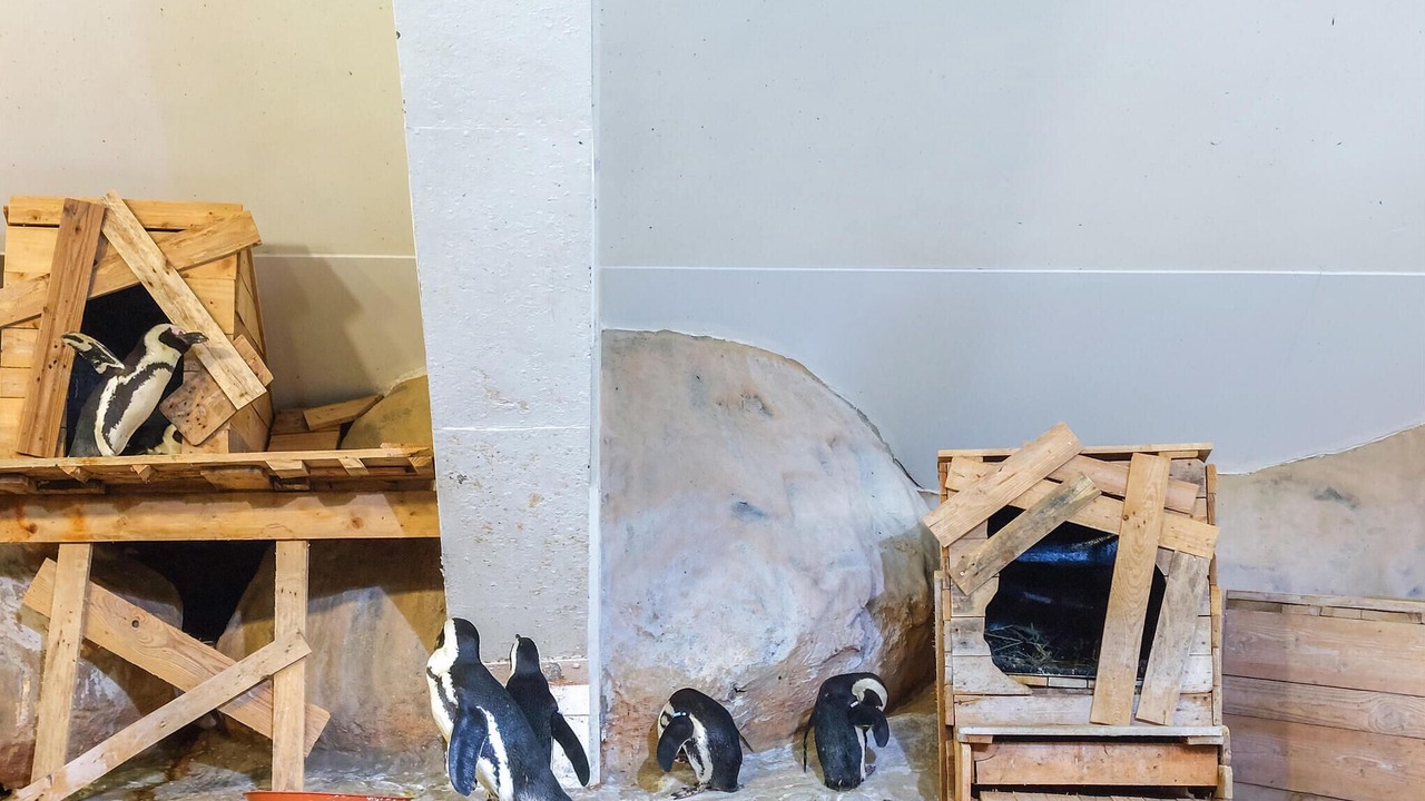 Photo of Others in Longvilliers