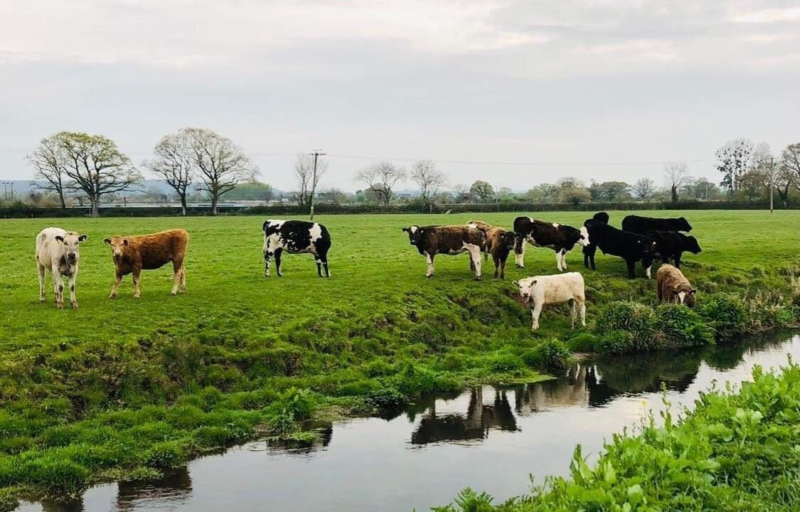 Photo of Outdoor in Congresbury