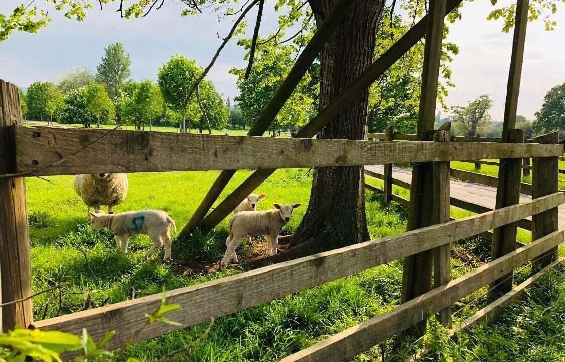 Photo of Outdoor in Congresbury