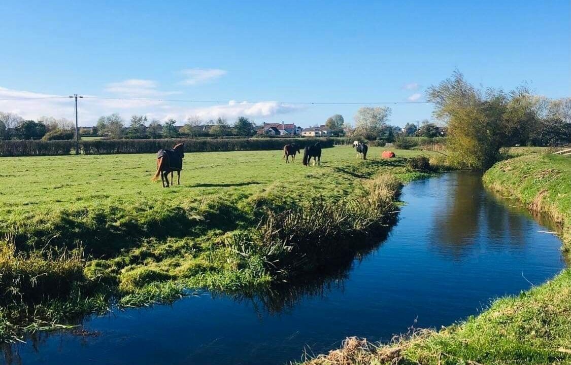 Photo of Outdoor in Congresbury