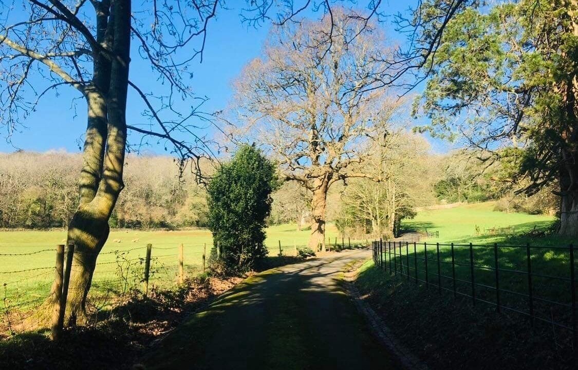 Photo of Outdoor in Congresbury