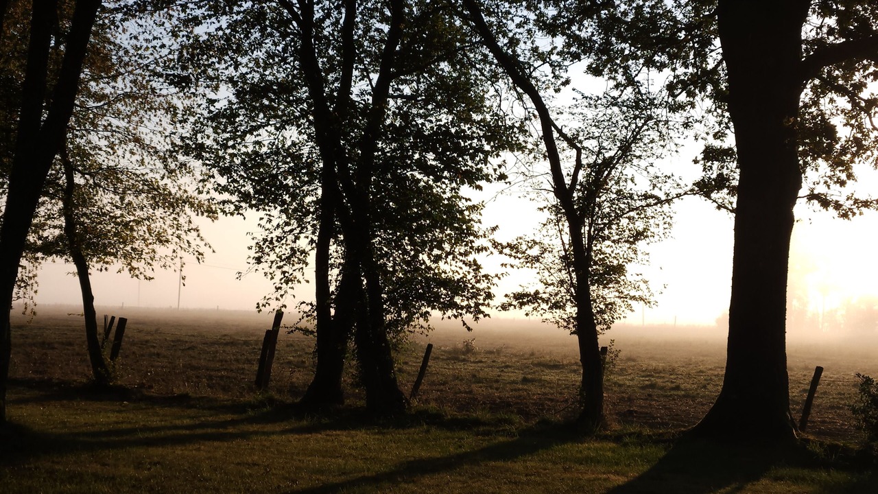 Photo of Others in Le Poislay