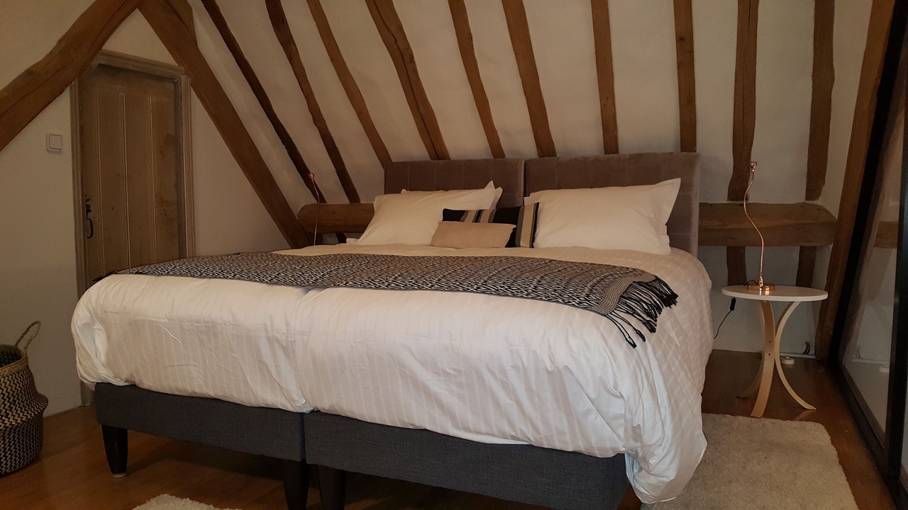 Photo of Bedroom in Savonnieres