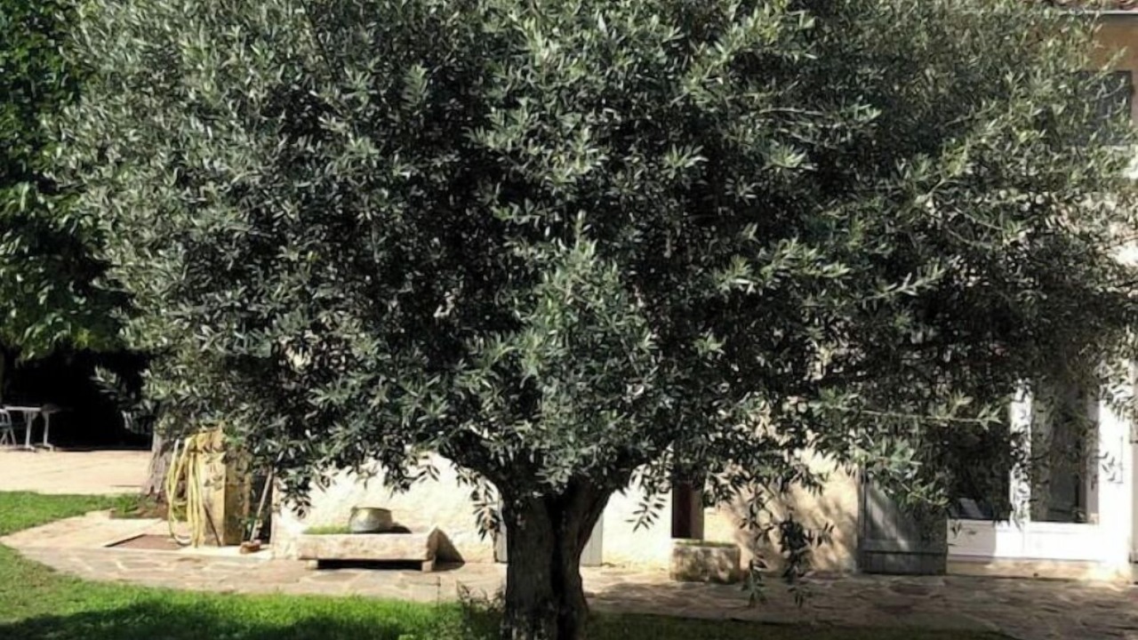 Photo of Outdoor in Bouge-Chambalud