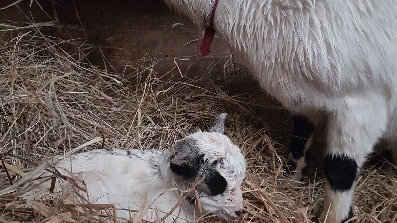 Photo of Others in Bouge-Chambalud